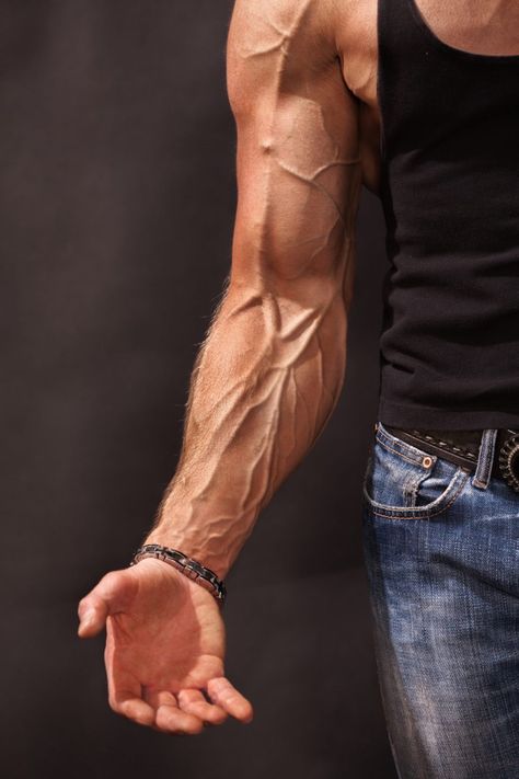 Forearm Muscle Anatomy, Forearm Anatomy, Arm Veins, Arm Anatomy, 남성 근육, Forearm Muscles, Forearm Workout, Man Anatomy, Muscle Anatomy