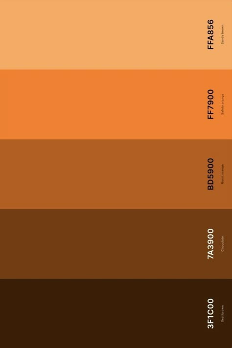 Retro Brown Color Palette, Orange And Brown Palette, Color Pallets Orange, Orange And Brown Color Palette, Orange Brown Color Palette, Orange Pallet, Color Palettes With Names, Brown Colour Palette, Orange Hex