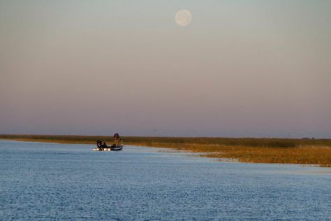 The Largest Natural Lake In Florida, Lake Okeechobee, Is Unbelievably Serene Okeechobee Florida, Their Eyes Were Watching God, Florida Vibes, Florida Activities, Fun Trips, Dry Tortugas National Park, Places In Florida, Things To Do In Florida, 7 Wonders