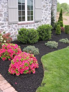 Small Front Yard Landscaping, Small Front Yard, Front Yard Design, Front Landscaping, Low Maintenance Landscaping, Garden Shrubs, Walled Garden, Landscape Designs, Have Inspiration