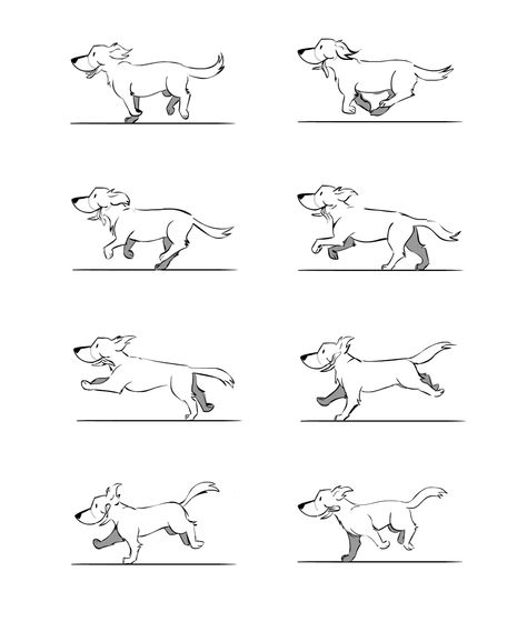 Jump Animation, Running Drawing, Running Illustration, Dogs Running, Dog Jumping, Run Cycle, Dog Animation, Flip Book Animation, Animation Storyboard