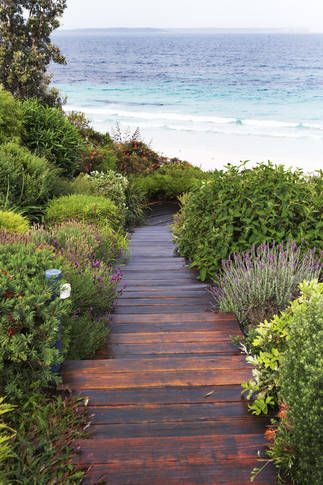 Take a trip down the garden path @ White Sands - Beach House | Hyams Beach, NSW | Accommodation. From $1100 per night. Beach Side House, Hyams Beach, Beach Walkway, Swamp House, Beach Plants, Beach House Landscaping, Paint Reference, Beach Front House, Beach House Garden