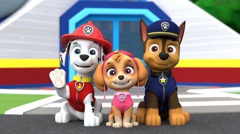 K9 Kennels, Skye Paw, Paw Patrol Pups, Loungewear Set, Paw Patrol, Decathlon, Wolves, Night Time, Sonic The Hedgehog