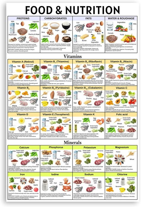 Food Groups Chart, Food Chart For Kids, Nutrition Printables, Food Nutrition Chart, Womens Fitness Motivation, Nutritional Plan, Nutrition Facts Healthy Eating, Should Workout, Vitamin Charts