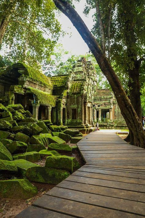 Geography Facts, Ta Prohm, Gap Year Travel, Tokyo Japan Travel, Cambodia Travel, Siem Reap Cambodia, French Colonial, Exotic Places, Southeast Asia Travel