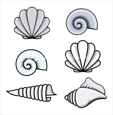 Fun #beach #seashells illustration! These #graphics would be great to use on the invitation for a summer party! They would also be great prints for your desk! Sea Shell, Illustrations, White, Art