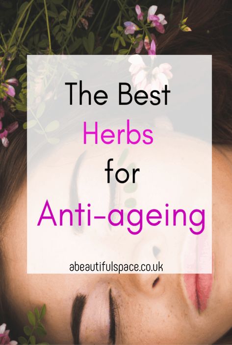 th ebest herbs for anti-ageing, a look at the 7 best herbs to help you look youthrful and the healing properties they contain #herbs #beautyhacks #anti-ageingproducts, #herbalbeauty Dna Activities, Face Mask Natural, Medicinal Herbs Remedies, Anti Aging Skin Care Routine, Aging Skin Care Routine, Anti Aging Herbs, Anti Aging Face Mask, Anti Aging Remedies, Antiaging Skincare Routine