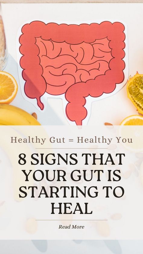 Discover the 8 signs that show your gut is healing! Feel better and live healthier with these positive indicators. 🌿💚 #GutHealth #WellnessJourney Healing Your Gut And Hormones, Bad Gut Health Signs, Heal The Gut Naturally, Stomach Healing Foods, How To Heal Gut, Healing Gut Health, Hormonal Eating, How To Heal Your Gut, Heal Gut Naturally