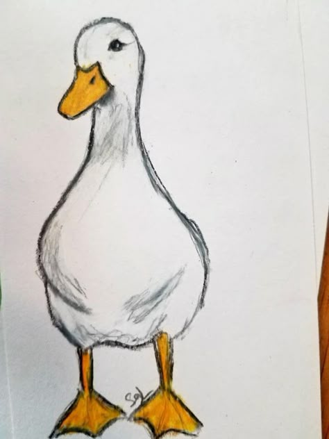 Desene Simple Cute, Things To Draw Easy Doodles, Duck Draw, Easy Things To Sketch, What To Draw Easy, Duck Drawing Easy, Cute Duck Drawing, Animal Sketches Easy, Duck Drawing