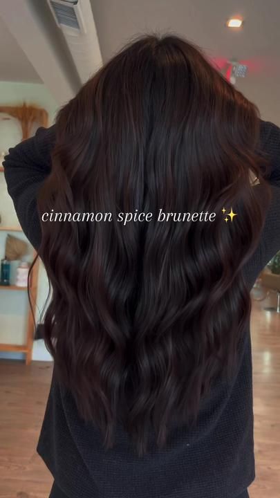 Cinnamon Spice Brunette, Black Cherry Hair Color Dark, Warm Black Hair, Cinnamon Brown Hair, Burgundy Brown Hair, Warm Brown Hair Color, Dark Burgundy Hair, Black Cherry Hair, Braids Color