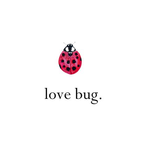 love bug Alpha Sig A Ladybug, Love Bug, Happy Words, Love Bugs, Pics Art, Hopeless Romantic, A Train, Pretty Words, Artsy Fartsy