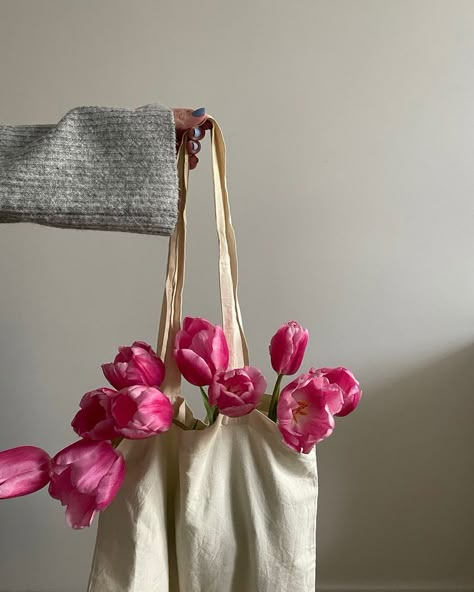 Tulips, Flowers, Wall, Pink, White