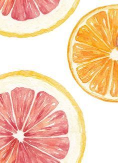 Orange Watercolor, Valencia Orange, Watercolor Food, Food Illustration Art, Watercolor Fruit, Watercolor Paintings Easy, Illustration Food, Orange Fruit, Watercolor Ideas