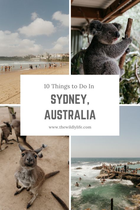 Planning a bucket list trip of your dreams to Australia? Sydney is the perfect place to start your trip to the Land Down Under. Read our travel blog post about the Top 10 Things to do in Sydney, Australia! Places To Visit In Sydney Australia, Things To Do Australia, Sydney Australia Things To Do, Australia In Summer, Things To Do In Sydney Australia Top 10, Sydney Day Trips, Things To Do Sydney, Traveling To Australia, What To Do In Sydney Australia