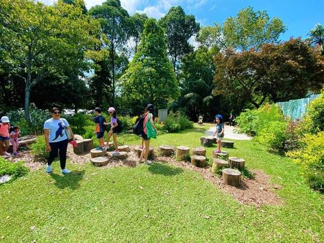 Jacob Ballas Children's Garden - A garden dedicated to children Colander Light, Childrens Garden, How Plants Grow, Singapore Botanic Gardens, Herb Wall, Children's Garden, Farm Garden, Big Garden, Kids Focus