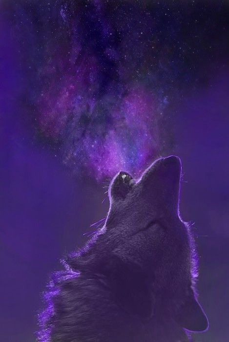 Purple Wolf Aesthetic, Blue Wolf Wallpaper, Wolf With Purple Eyes, Galaxy Wolf Wallpaper, Galaxy Wolf, Wolf Howling At The Moon, Mystical Wolf, Purple Flame, Rainbow Pictures