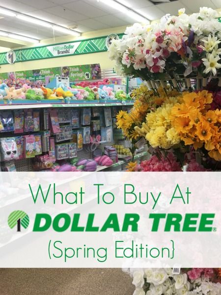 Look for these $1 spring finds at your Dollar Tree! (Dollar Tree Spring Edition) Spring Dollar Store Crafts, Dollar Tree Easter Decor, Savings Ideas, Easter Decorations Christian Church, Dollar Tree Finds, Easter Decorations Dollar Store, Easter Decorations Vintage, Easter Decorations Christian, Easter Decorations Outdoor