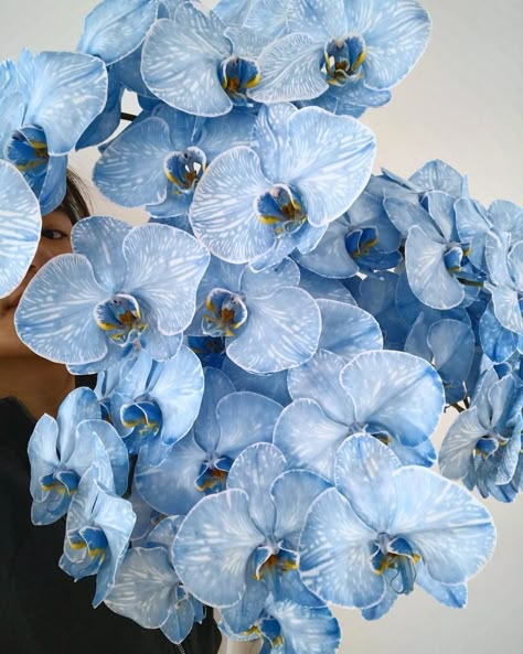 Blue dyed phalaenopsis orchids ! Gorgeous flowers Blue Orchids Aesthetic, Blue Orchid Bouquet, Wedding Orchids, Blue Orchid Flower, Orchid Blue, Orchid Flower Arrangements, Yellow And Blue Flowers, Orchid Varieties, Dyed Flowers