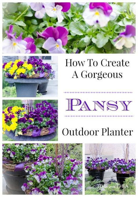 Gardening Therapy, Garden Frogs, Modern Plant Stand, Garden Basket, Flowers Gardening, Hanging Succulents, Gardening Flowers, Outdoor Planter, Pansies Flowers