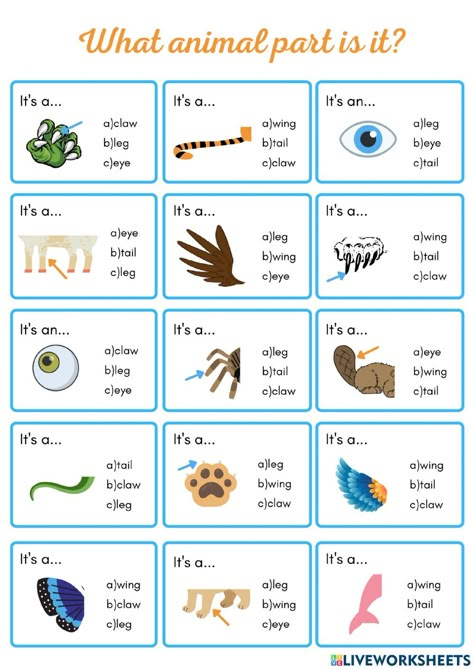 Animal Body Parts Worksheet, Parts Of Animals, Animals Worksheet, Teaching Cursive, School Live, Animal Lessons, Animal Body Parts, Vocabulary Exercises, English Projects