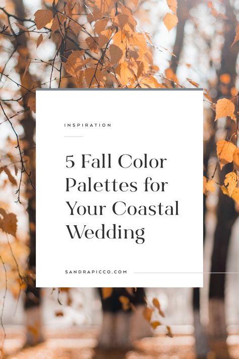 Fall Wedding On The Beach, Fall Wedding At The Beach, Fall Beach Wedding Centerpieces, Fall Beach Wedding Colors November, Fall Waterfront Wedding, Florida Fall Wedding Colors, October Coastal Wedding, Beachy Fall Wedding, Beach Wedding Fall Colors