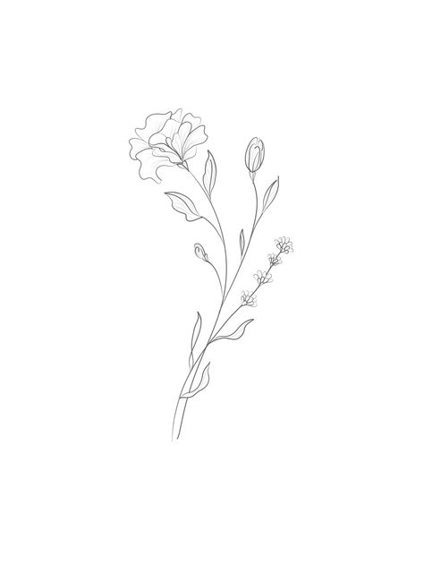 Carnation Flower Tattoo Behind Ear, Tattoo Ideas Carnation, Realistic Carnation Tattoo, Carnation Vine Tattoo, Coronation Flower Tattoo, Carnation Line Tattoo, How To Draw A Carnation, Carnation Back Tattoo, Tattoo Carnation Flower