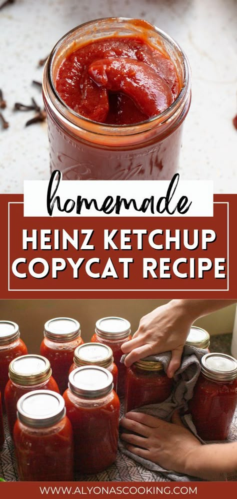 Canned Ketchup, Homemade Ketchup Recipes, Ketchup Recipe, Homemade Ketchup, Heinz Ketchup, Home Canning Recipes, Homemade Pantry, Canning Food Preservation, Homemade Condiments