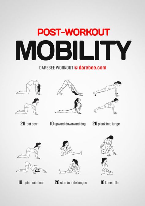 Mobility Workout, Quick Workout Routine, Workout Without Gym, Gym Routine, Body Workout Plan, At Home Workout Plan, Free Workouts, Gym Workout Tips, Flexibility Workout