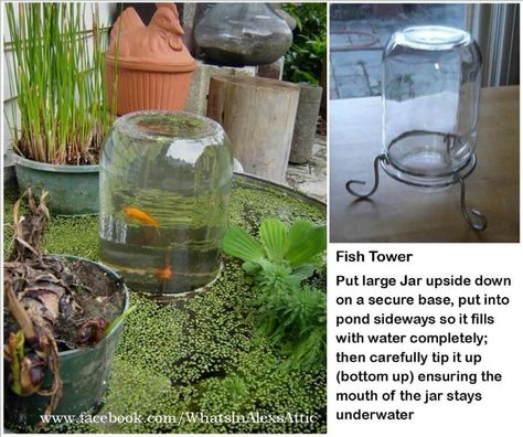 Fish pond idea Fish Tower, Boat Planter, Outdoor Fish Ponds, Kolam Koi, Taman Air, Goldfish Pond, Garden Pond Design, Pond Fish, Outdoor Ponds