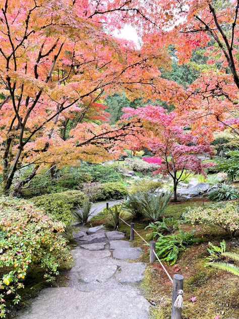 Seattle Japanese Garden – Olivia Michelle Seattle Autumn, Seattle Arboretum, Pnw Landscaping, Seattle Japanese Garden, Seattle Aesthetic, Washington Summer, Washington Bucket List, Aapi Heritage Month, Pnw Garden