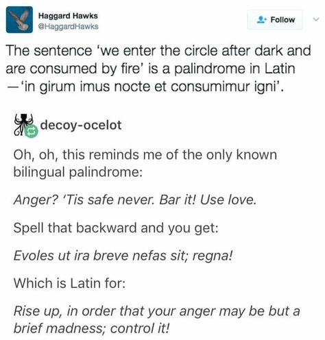 Read Backwards, Summoning Demons, Latin Phrases, Fact Check, The Sentence, Oh Oh, Book Writing Tips, The More You Know, The Circle