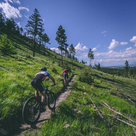 Cranbrook Community Forest - Discover the Kootenay Diversity Fitness Trail, Cycling Quotes, Bike Poster, Biking Outfit, I Want To Ride My Bicycle, Road Bike Cycling, Life Board, Mountain Bike Trails, Mountain Trails