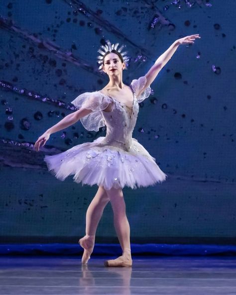 Caroline Perry in Cincinnati Ballets production of Don Quixote. Act II dream scene. Don Quixote Ballet, Famous Ballets, Don Quixote, Fantasy Fashion, Cincinnati, My Favorites, Acting, Ballet, On Instagram