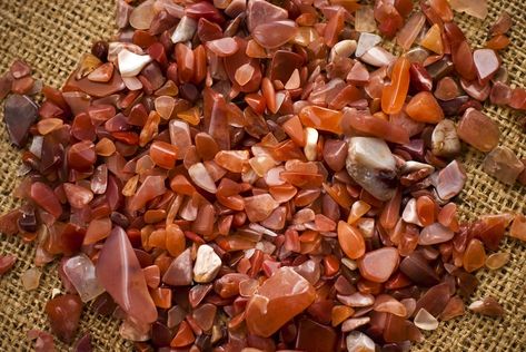 Sedimentary Rocks, Carnelian Necklace, Carnelian Stone, Red Band, Rock Collection, Banded Agate, Red Agate, Beautiful Rainbow, Red Jasper