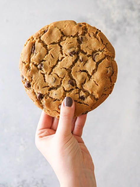 Big Cookie For One, Peanut Butter Cookie For One, Single Serve Peanut Butter Cookie, Chocolate Chip Cookie For One, Cookie For One, Jumbo Cookies, Peanut Butter Chocolate Chip Cookie, Giant Cookies, Large Cookies