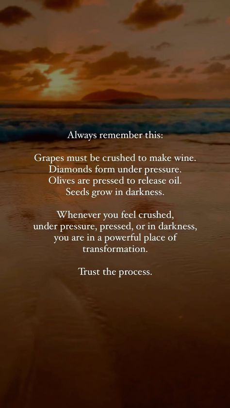 ✨Trust the process✨ Always remember this: Grapes must be crushed to make wine. Diamonds form under pressure. Olives are pressed to release… | Instagram Grapes Must Be Crushed To Make Wine, Feeling Crushed Quotes, Pressure Makes Diamonds Quotes, Grape Quotes, Trust The Process Quotes, Life Struggle Quotes, Process Quotes, Pressure Makes Diamonds, Pressure Quotes