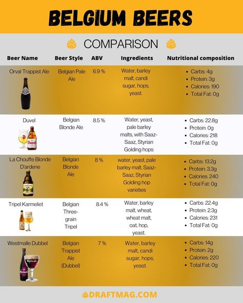 Best Belgian Beers https://draftmag.com/best-belgian-beer/?utm_content=buffere20f2&utm_medium=social&utm_source=pinterest.com&utm_campaign=buffer Belgian Ale, Blonde Ale, Dark Beer, Belgian Beer, Beer Drinker, Local Brewery, Beer Brands, Beer Brewing, Best Beer