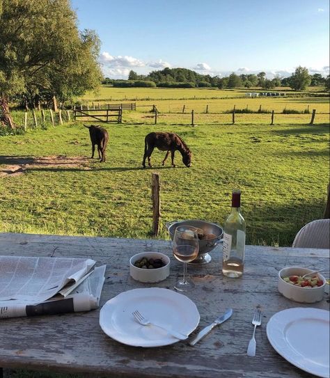 Future Farms, Farm Lifestyle, Country Lifestyle, Ranch Life, Dream Lifestyle, English Countryside, Future Life, A Horse, House Inspo