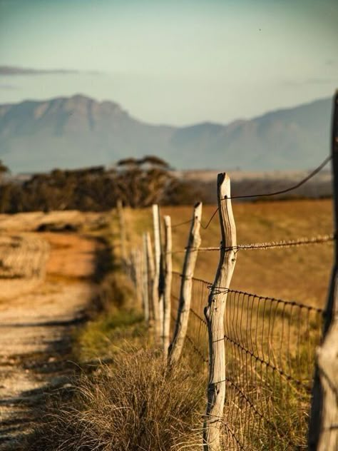 Photography Perspective, Landscape Ideas Front Yard Curb Appeal, Rural Photography, Landscape Design Drawings, Country Photography, Lock Screen Wallpaper Iphone, Farm Photography, Australian Landscape, Landscape Photography Tips