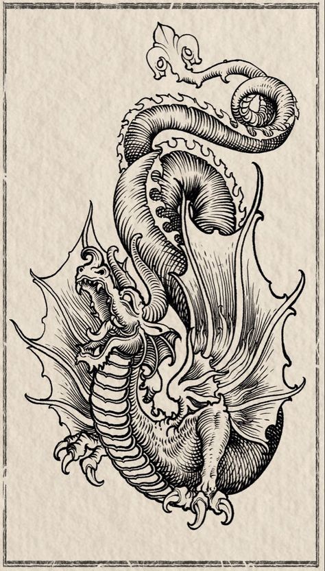 Medieval Mythical Creatures, Medevil Dragon, Medieval Dragon Art, Medieval Engraving Tattoo, Medieval Woodcut Art, Woodcut Tattoo Design, Medieval Art Tattoo, Midevil Tattoo Design, Etching Style Tattoo