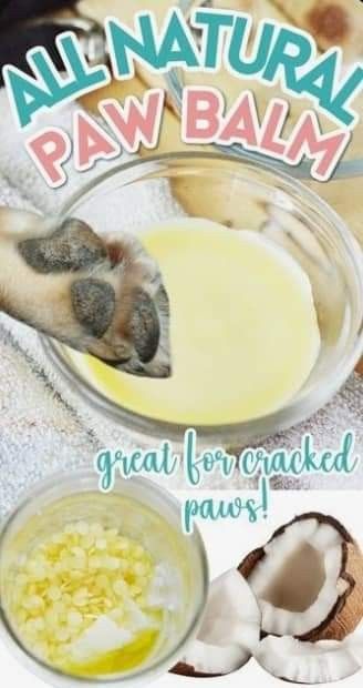 Natural Dog Paw Balm, Dog Paw Softener Diy, Paw Butter For Dogs, Dog Palm Balm Diy, Homemade Paw Balm, Dog Paw Pad Moisturizer, Homemade Paw Balm For Dogs, Dog Paw Ointment Diy, Balm For Dog Paws