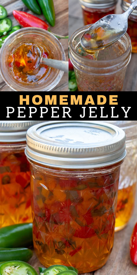 This easy step-by-step guide teaches how to make delicious pepper jelly with jalapenos and sweet peppers! Learn how to can or freeze this homemade jelly recipe for longterm storage that will give you a delicious side with cream cheese and crackers. Canning Pepper Jelly, Homemade Jelly Recipe, Homemade Pepper Jelly, Spicy Pepper Jelly, Canning Hot Peppers, Jalapeno Jelly Recipes, Pepper Jelly Recipe, Canning Peppers, Pepper Jelly Recipes