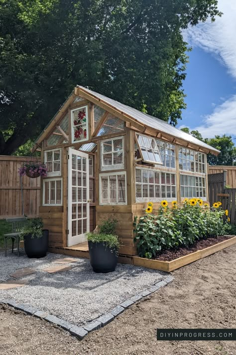 Backyard greenhouse featuring reclaimed windows, pea gravel entrance with stepping stones, and stained glass window. One one side of the greenhouse is a flower bed with cheerful sunflowers and the other side has hydrangeas. Old Doors Greenhouse, Greenhouse Brick Base, Glass Greenhouse Backyard, Cute Green House Ideas, Reclaimed Greenhouse Ideas, Cedar Greenhouse Ideas, Greenhouse For Flowers, Small Greenhouse With Old Windows, Greenhouse On Platform