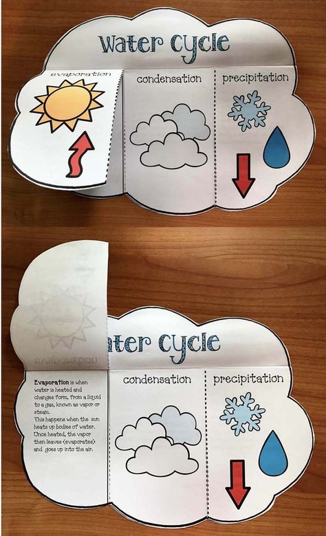 Science activities: Super-simple "print & go" (Flip-the-flap) water cycle craft. BW + Color. Water Cycle Craft, Pool Layout, Water Cycle Activities, Weather Activities For Kids, Fish Craft, Weather Crafts, Science Vocabulary, 4th Grade Science, Tivoli Gardens