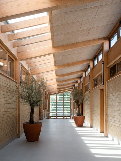 Tolila+Gilliland uses tactile materials for therapeutic workshops in France Therapy Rooms, Hospital Architecture, Japanese Interiors, American Interior, American Houses, Timber Structure, Therapy Room, Building Plan, Architecture Studio