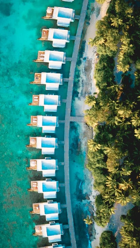 Dhigali Maldives, Maldives Hotels, Maldives Aesthetic, Water Hotel, Resort Design Plan, Maldives Luxury, Underwater Hotel, Bahamas Resorts, Floating Architecture