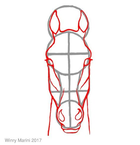 How To Draw Horse Front View, Horses Front View, Horse Drawing Front View, Horse Face Front View, Horse Sketch Step By Step, How To Draw A Horse Head, How To Draw Horse, Horse Head Front View, Horse Sketch Easy