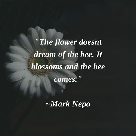 "The flower doesn't dream of the bee. It blossoms and the bee comes." ~Mark Nepo #blossomintoabetteryou Mark Nepo Quotes, The Flower Doesn't Dream Of The Bee, Be Like A Bee Quote, Flowers Dont Chase Bees, Flower Poetry, Flowers Don’t Chase The Bees, Bees Don’t Waste Their Time, Bee Quotes, Bumble Bee Asleep In Flower