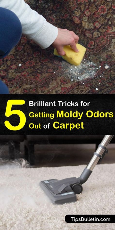 Smelly Carpet, Spot Cleaning Carpet, Mold Smell, Bissell Carpet Cleaner, Carpet Smell, Diy Household Cleaners, Remove Mold, Carpet Deodorizer, Mold Spores