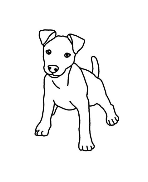 Jack Russell Line Art, How To Draw A Jack Russell Step By Step, Jack Russell Outline, Patterdale Terrier Tattoo, Painting Outline Ideas, Jack Russel Drawing, Jack Russell Terrier Drawing, Jack Russell Terrier Tattoo, Jack Russell Tattoo